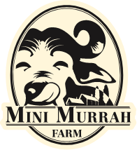 Minimurrah Farm Shop